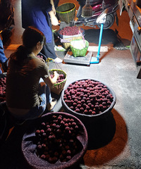 ҹ���ɾ���÷�г���20�����ϵĶ���Ҫ20��Ԫһ��