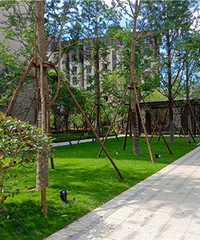 ��ǰ�����Ľ���