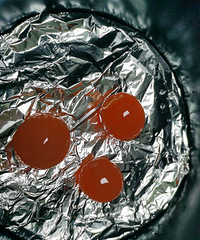 ���Ի���̨��No.54������ը����ĵ�����