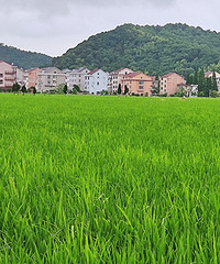 ϣ������Ұ