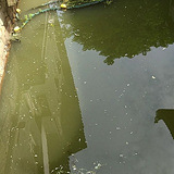 ��ˮ��ô��