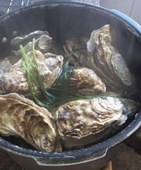 �������ʲô����ѹ�����