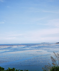 ��ɢ�洬Ư�ں��ϣ�Զ�����¿ɼ��ĵ���