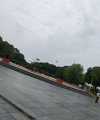 �տ����˵Ľ�����԰����ȫʧȥ�������ķ���