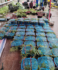 ��ҹ����ȥ����÷�������շ�Ա˵���أ�����������ͨ��