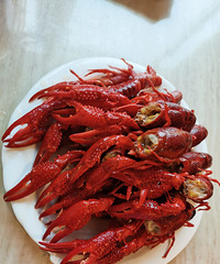 ��Ϊ���ܳ����ģ����˸�������Ϻ