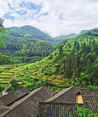 ̨���Լ���ˮ���߻��磬�о�������