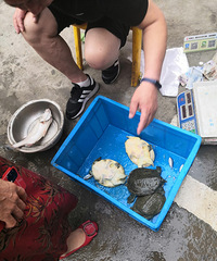 Ұ����100Ԫһ�������Σ�����֪���ǲ������Ұ��