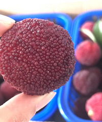 ������÷50Ԫһ��Բ���