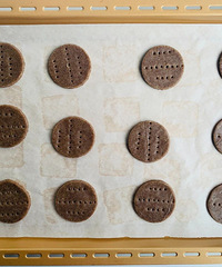 ȫ�������������� | �Ϳ����������