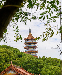 ̽�ء����ϲ����������������ɵ���ɲ����������