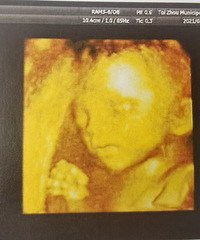 ��2021�����ռǡ���������һ��������