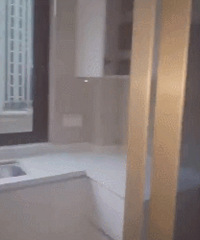 ����������ǰ��װʵ��