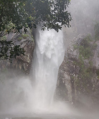 �����ķ���