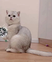 92���ٺ���ҵ��MM��ϣ����88-93�����������������ȿ���