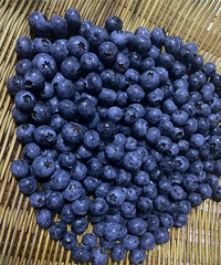 ����ݮ�������������٣�û����ë����