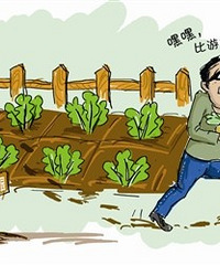 �ھ�͵�Դ���ũҩ�Ĳˣ�ȥҽԺ�����ǮҪ��Ҫ������