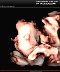 �������ռǡ�����֮��ľ�ϲ