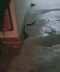 С�������ҷ���һ����