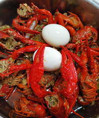 ����С��Ϻ&â����ꪣ��ڸ�����