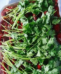 ���˱�����Ϻ