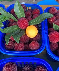 4.5Ԫһ�ŵ���÷