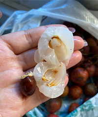 ���Ի���̨��No.54���ײ�֦֪ˮ�����Ͳ�