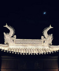 ҹ��������