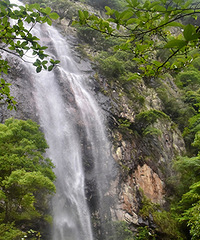 ���Ҵ��ٲ�