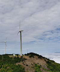 ����ɽ���ƺ�