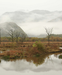 ��ź�ֵ��һȥ�ĵط�