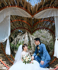 ȫ������ 5999Ԫ