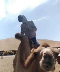 84����Ͻ���Ҷ���