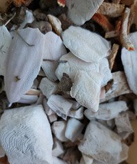 ���˸����ף���������ҩ��Ҫ�ϰٿ�һ��