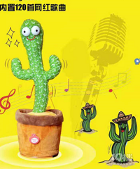 ɹ�޵�˯�ˣ�Ӯ�������ѧ˵����������