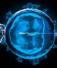 �Թ�Ӥ����1����2����3��֮�֣����ǲ���һ����һ���á���