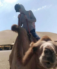 84����Ͻ���Ҷ���