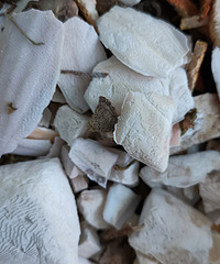 �ⶫ��Ҫ�ϰٿ�һ��