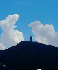 ʯ�ɽ��������