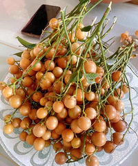 �����͵ģ���֪����ʲô������֪����ô��