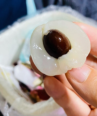 ������֦����ô�����ô���أ�Ŵ����֦�򲻵ã�