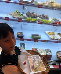 �����������ǩ��Ȼ���óԻ�������