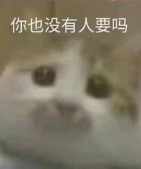 97�꽷��MM��162���Ը�С����Ƣ������92-96��������