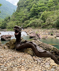 �����ɾ�