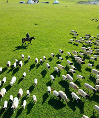 6-7�·ݵ�����Ҳ̫���ˣ�һ�������Ļ�����