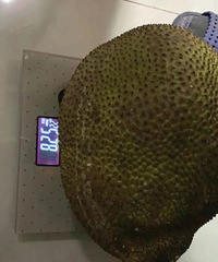 太生气了!拼多多菠萝蜜翻车事件!
