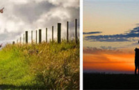 �Ƽ����޺�ȥ����Ӯ��ʿ�����ʧ����Ϳѻ����