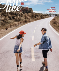 ��Щ�ڹ�·�ϡ����������ջ�ɴ�յģ����ǲ�����