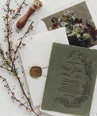 ��ľ��������