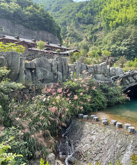 �Ͱ����¹�